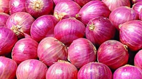 Common fresh red onion, for Cooking, Enhance The Flavour, Feature : Freshness, Good Purity, Hygienic