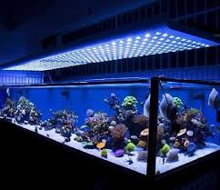 Rectangular Aquarium light, Feature : Attractive Look, Low Consumption, Shiny Look, Stable Performance