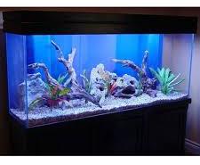 Rectangular Glass Fish Aquarium, for Home, Hotel, Office, Restaurant, Voltage : 110V, 220V