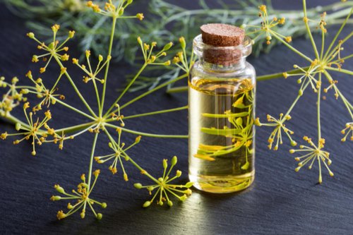 Dill Seed Oil, for Reduces Digestive Problme, Feature : Antispasmodic, Good Quality