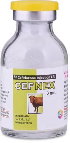 Cefnex Injection
