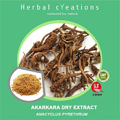 Herbal Creations Akarkara Dry Extract, Shelf Life : 3 Year