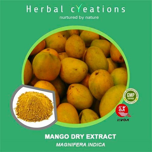 Herbal Creations Mango Dry Extract, Packaging Type : HDPE Drum