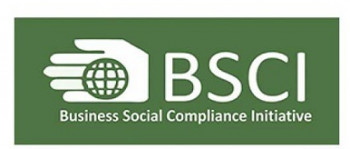 BSCI  Social Compliance Audit in Delhi.