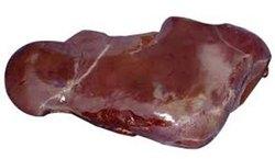 Liver Buffalo Meat, for Restaurant, Packaging Type : transparent polythene