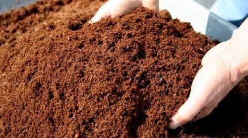 Coco Peat Powder, Color : Brown