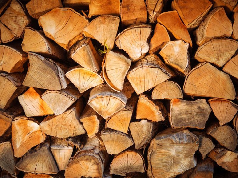Eucalyptus Firewood