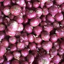 Nasik Onion