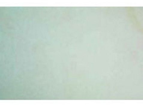 Gwalior Mint Sandstone Marble