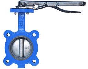 Lug Type Butterfly Valve