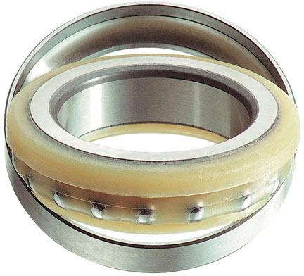 Solid Lubrication Bearing