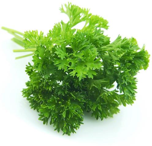 Organic Fresh parsley