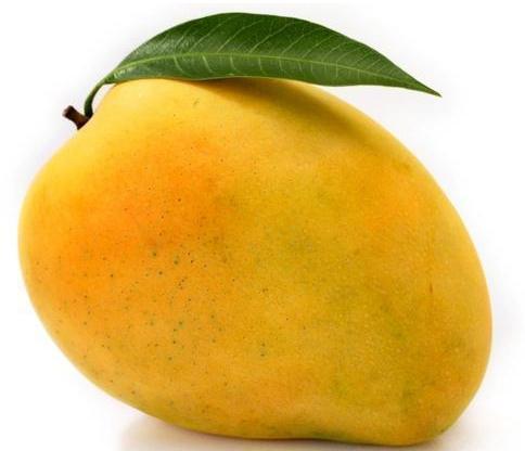 Organic Fresh Natural Mango, Color : Yellow