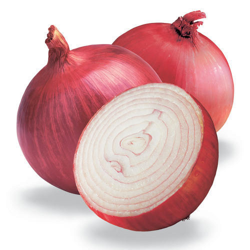 Common Fresh Organic Onion, Color : Red