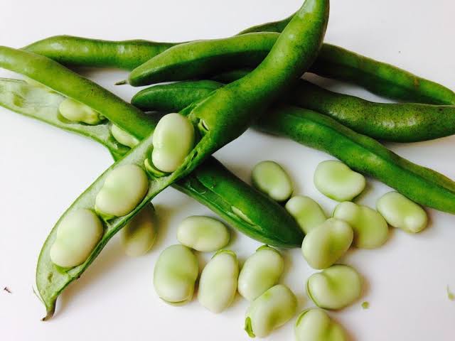 Organic Fresh Broad Beans, Style : Natural