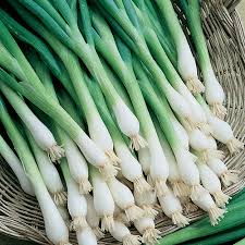 Fresh Green Onion