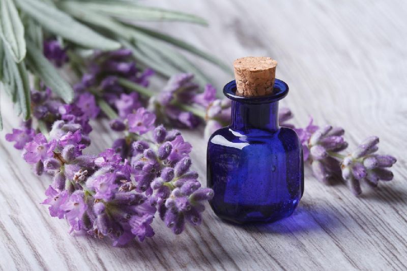 Lavender oil, for Medicine Use, Personal Care
