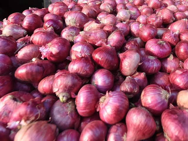 Organic fresh red onion, for Human Consumption, Packaging Size : 50-500 Kg