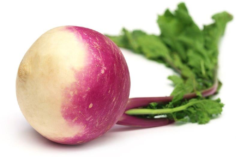Fresh Turnip, for Human Consumption, Packaging Size : 50-500 Kg