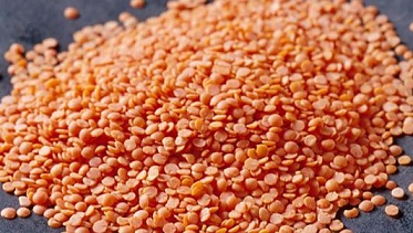 Organic Red Lentil