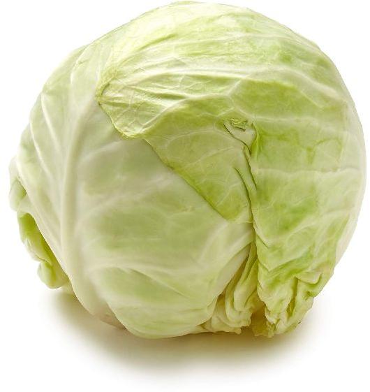 Organic Fresh Green Cabbage, Packaging Size : 100-500kg