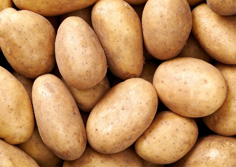 Organic fresh potato, for Home, Restaurant, Feature : Good In Taste, Healthy