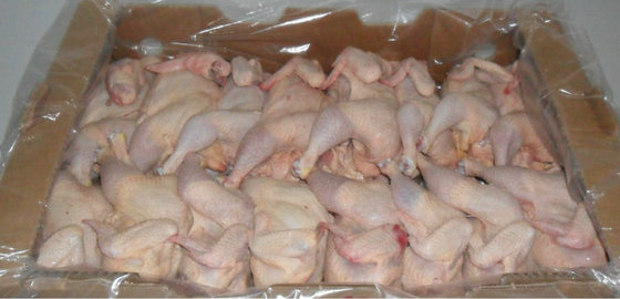 Chicken Parts, For Hotel, Restaurant, Certification : FDA Certified, ISO Certified