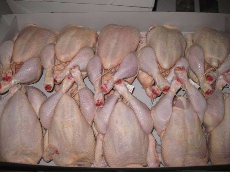  Halal Whole Chicken, Packaging Type : Carton Boxes