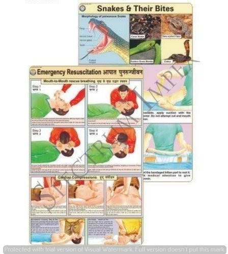 Paper First Aid Chart