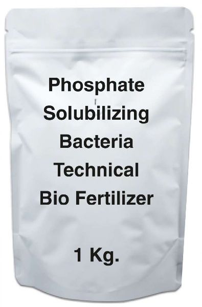Phosphate Solubilizing Bacteria Technical Bio Fertilizer, for Agriculture, Purity : 100%