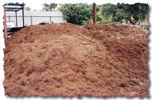 Cocopeat Blocks