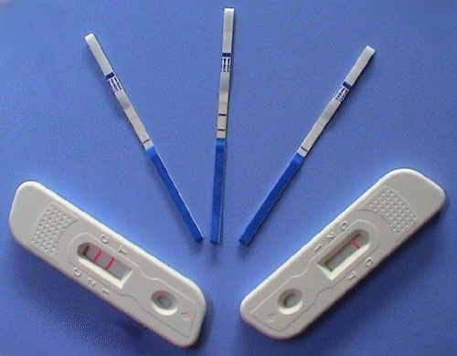 Rapid Diagnostic Kit