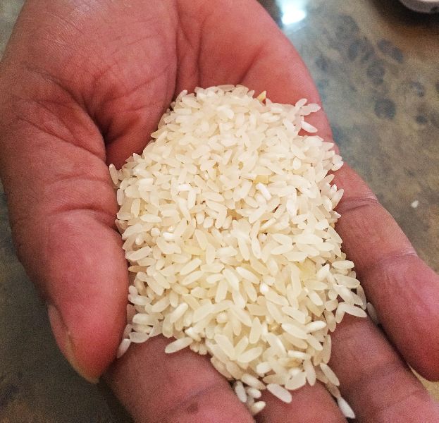 Best Quality White Short Grain Rice Supplier