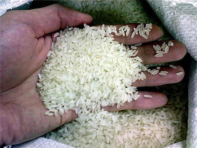 Long Grain White Rice 5% Broken (Variety 504)