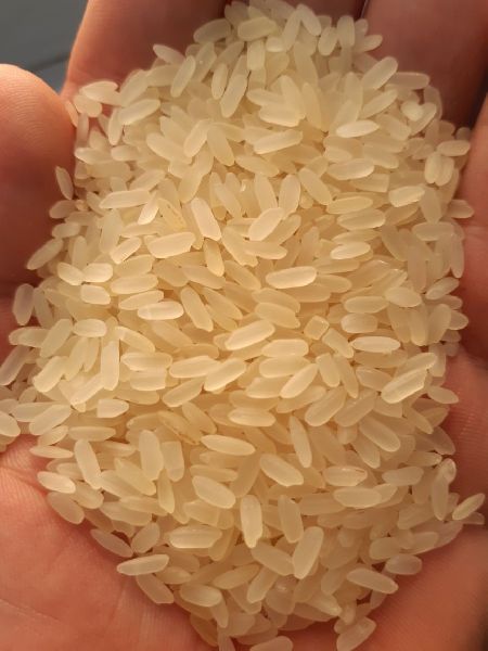 white organic rice