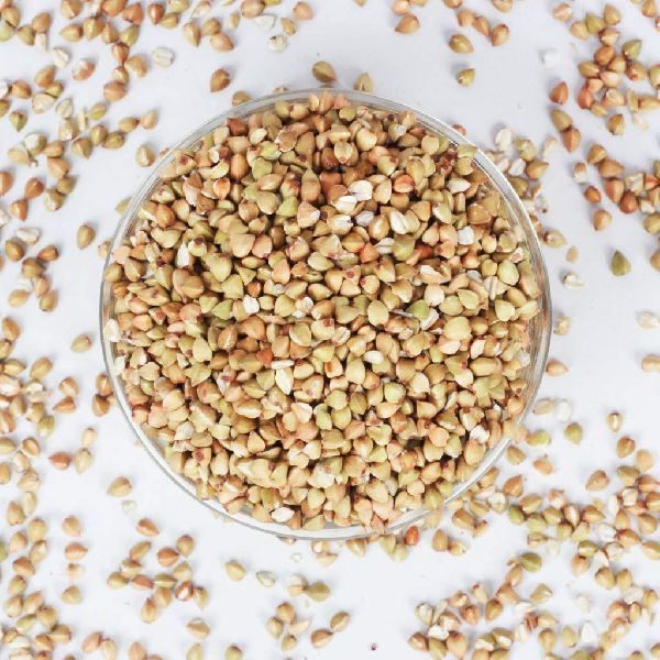 Organic Buckwheat Seeds, Shelf Life : 1yrs