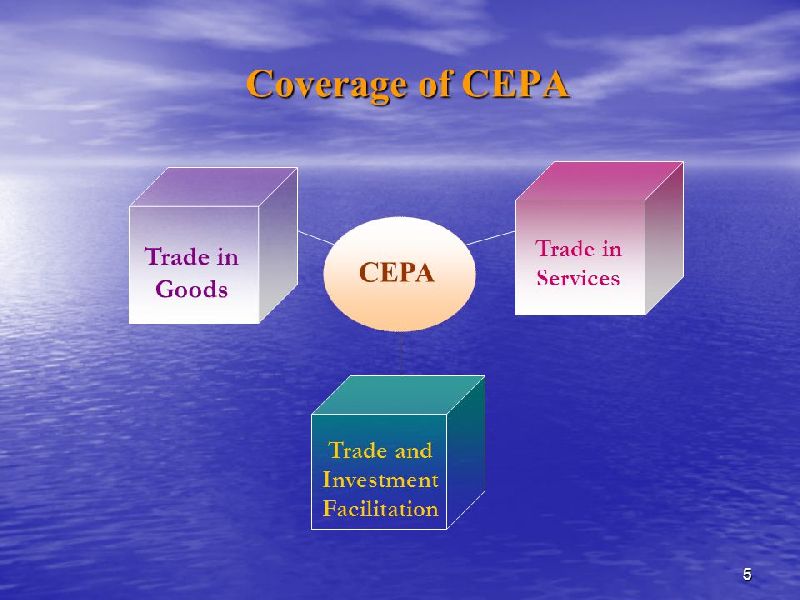 CEPA Services