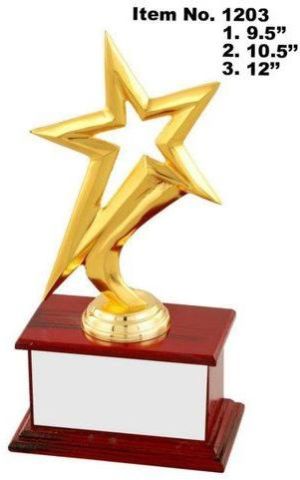 Polished Plain Wooden Base Star Trophy, Color : Golden