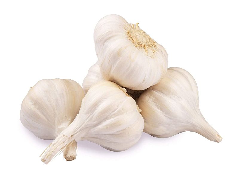 Organic fresh garlic, Packaging Type : Plastic Bags