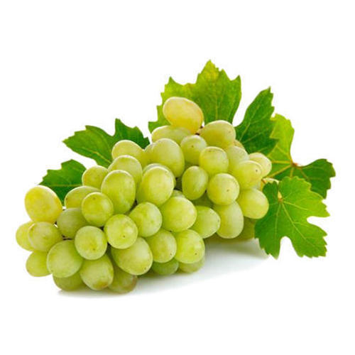 Organic fresh grapes, Shelf Life : 3-5days