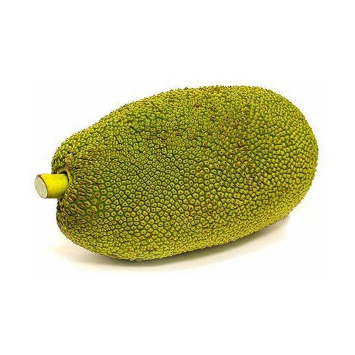 Organic Fresh Jackfruit, Color : Green