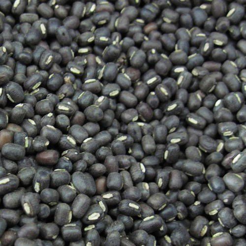 urad dal