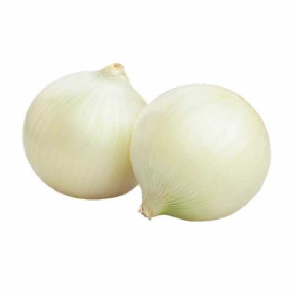 Organic Fresh White Onion, Style : Natural