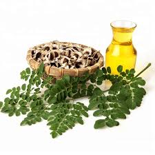 Common Moringa oils, for Cosmetics, Dietary Supplements, Medicine, Nutrition, Form : Powder, Seeds