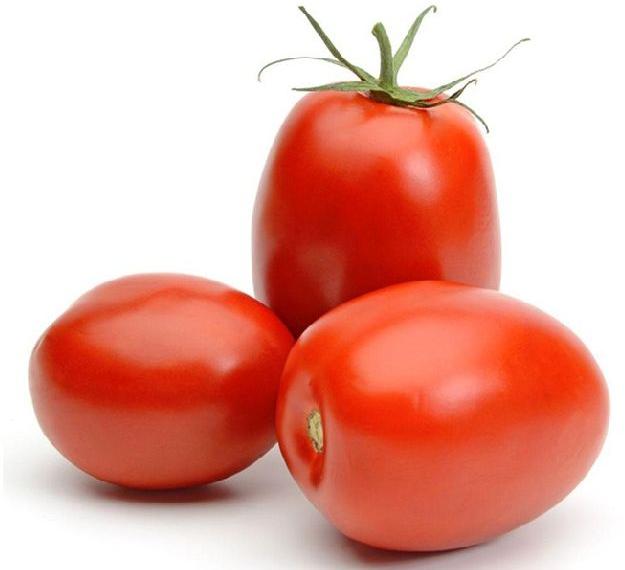 fresh tomato