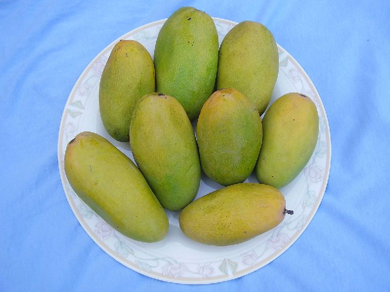 Langra Mango