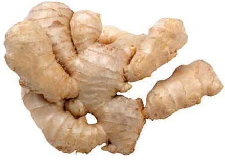 Common Fresh Organic Ginger, Packaging Size : 20kg, 50kg