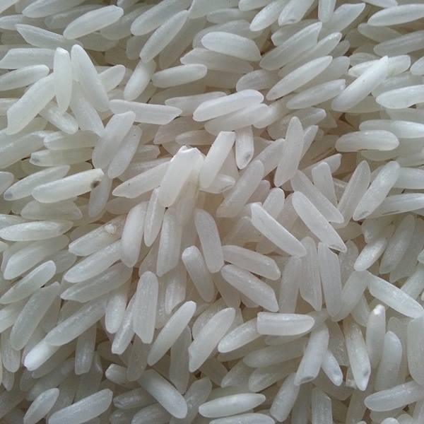 Soft Sharbati Non Basmati Rice, Packaging Type : Jute Bags