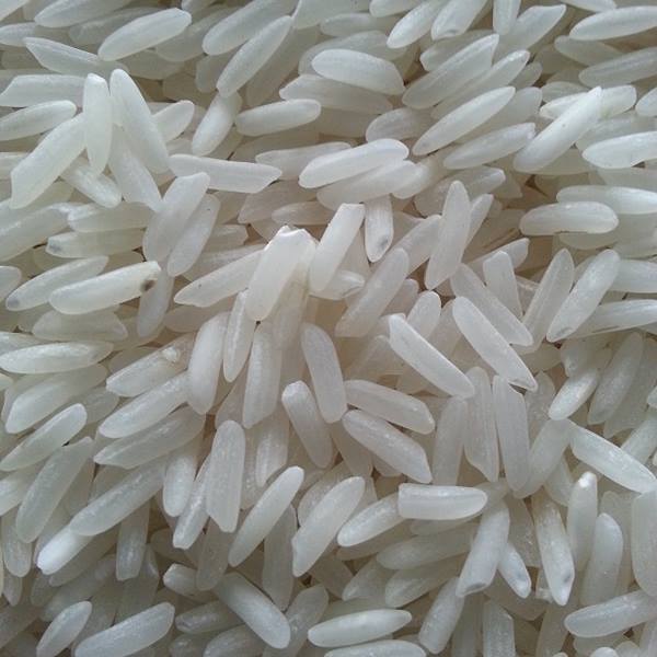 Sharbati Non Basmati Rice