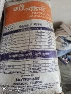 Maize Gau Mahima Animal Feed, Animal Type : Cattle